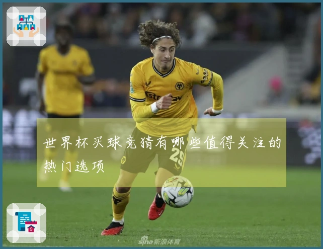 世界杯买球竞猜有哪些值得关注的热门选项