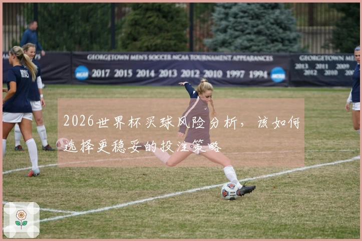 2026世界杯买球风险分析，该如何选择更稳妥的投注策略