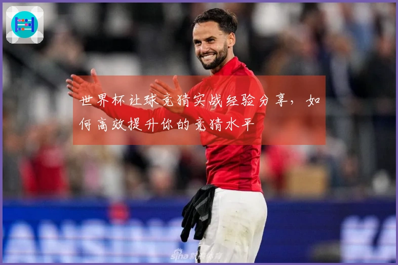 世界杯让球竞猜实战经验分享，如何高效提升你的竞猜水平