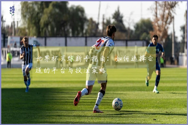 世界杯买球新手指南：如何选择合适的平台与投注策略