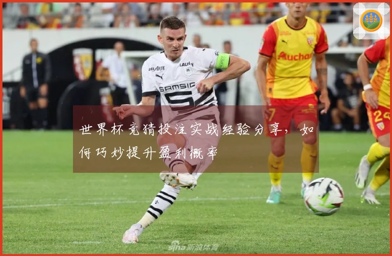 世界杯竞猜投注实战经验分享，如何巧妙提升盈利概率
