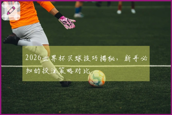 2026世界杯买球技巧揭秘，新手必知的投注策略对比