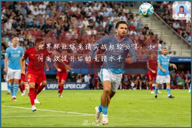 世界杯让球竞猜实战经验分享，如何高效提升你的竞猜水平