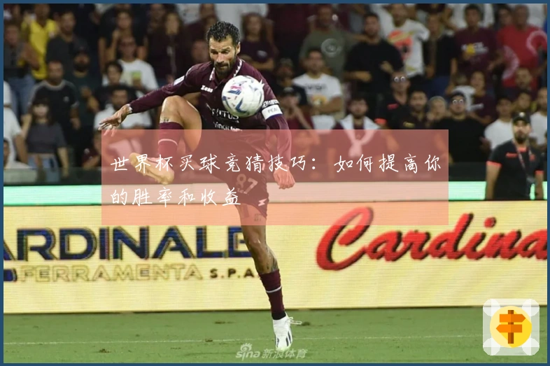 世界杯买球竞猜技巧：如何提高你的胜率和收益