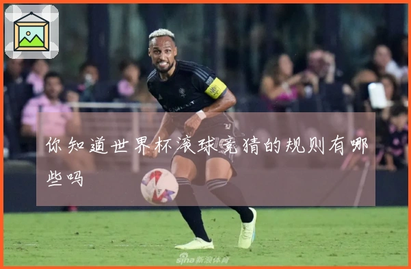 你知道世界杯滚球竞猜的规则有哪些吗