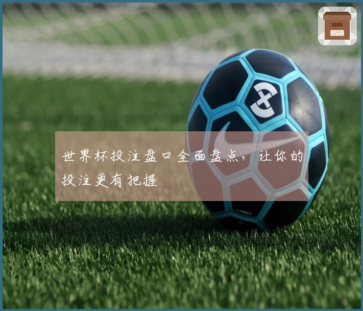 世界杯投注盘口全面盘点，让你的投注更有把握